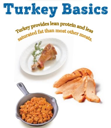 turkey-basics